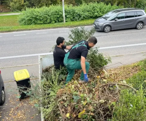 Untitleddesign13-ezgif.com-resize