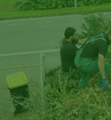 Untitleddesign14-ezgif.com-png-to-webp-converter